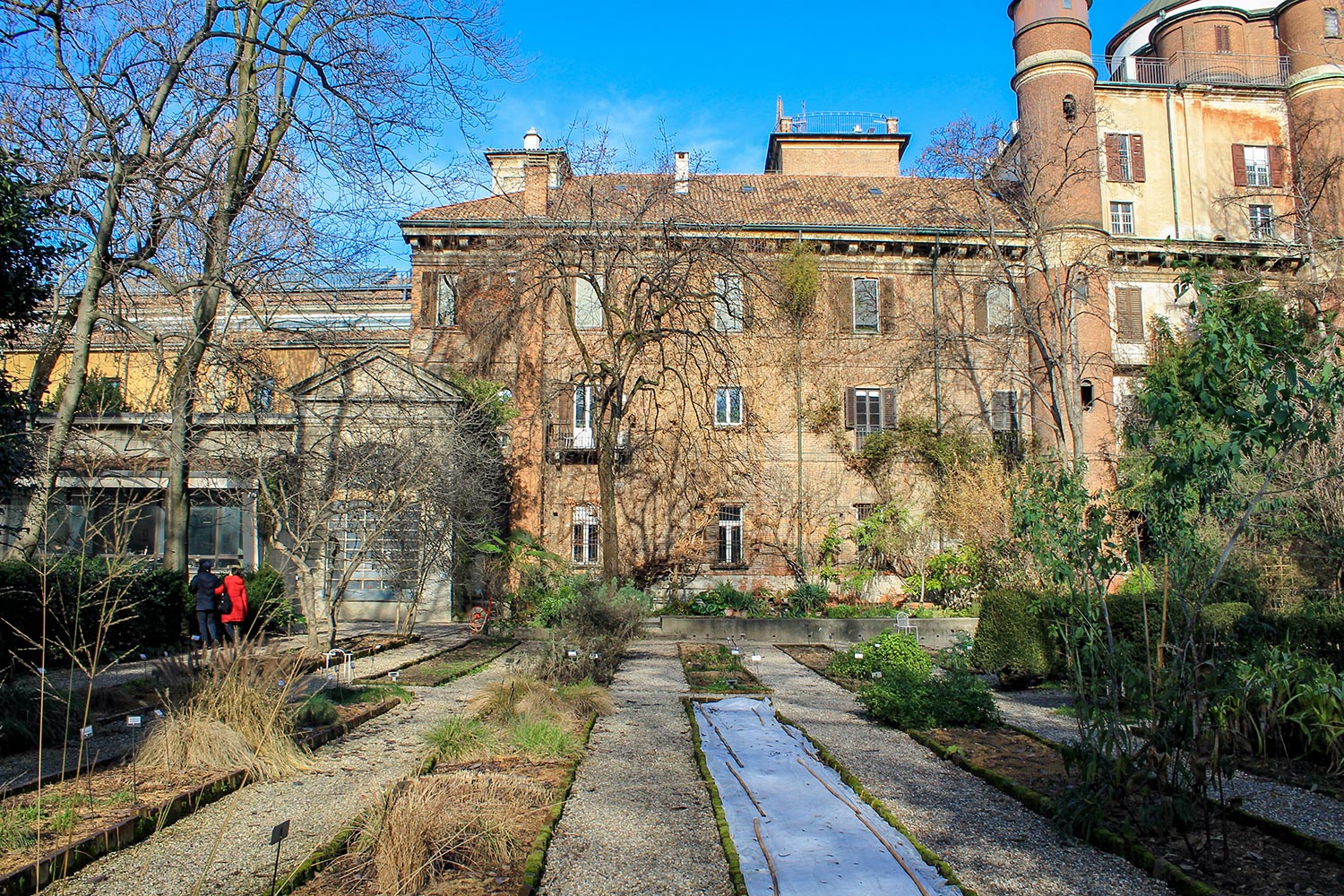 All'Orto Botanico di Brera in mostra le tavole parietali del Dodel-Port  Atlas